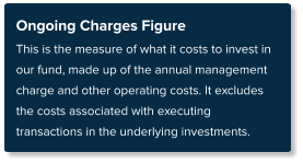 Ongoing Charges Figure This is the measure of what it costs to invest in our fund, made up of the annual management charge and other operating costs. It excludes the costs associated with executing transactions in the underlying investments.